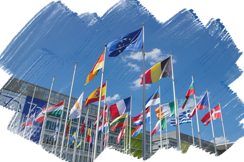 3NEW srl – EU MDR対応・欧州体制構築支援
